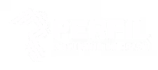 Logo Perfil Alumínio do Brasil